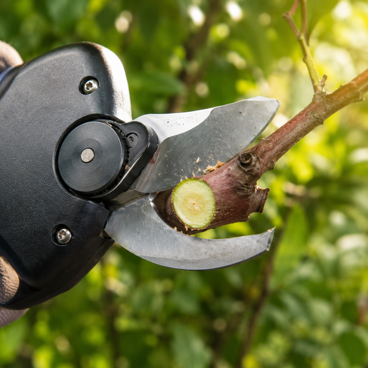 Cordless Electric Power Shears